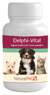 Delphi-Vital (Maqui-Select) - 90 Capsules